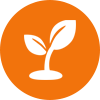 Growth As Per Rules